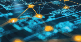 micosoft-05 micosoft-05