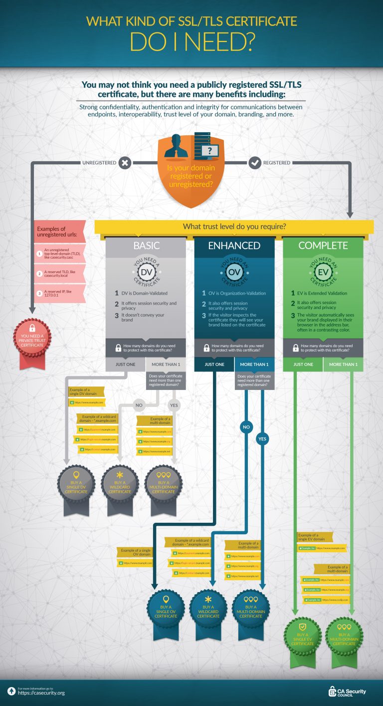 What Kind Of SSL/TLS Certificate Infographic | DigiCert.com